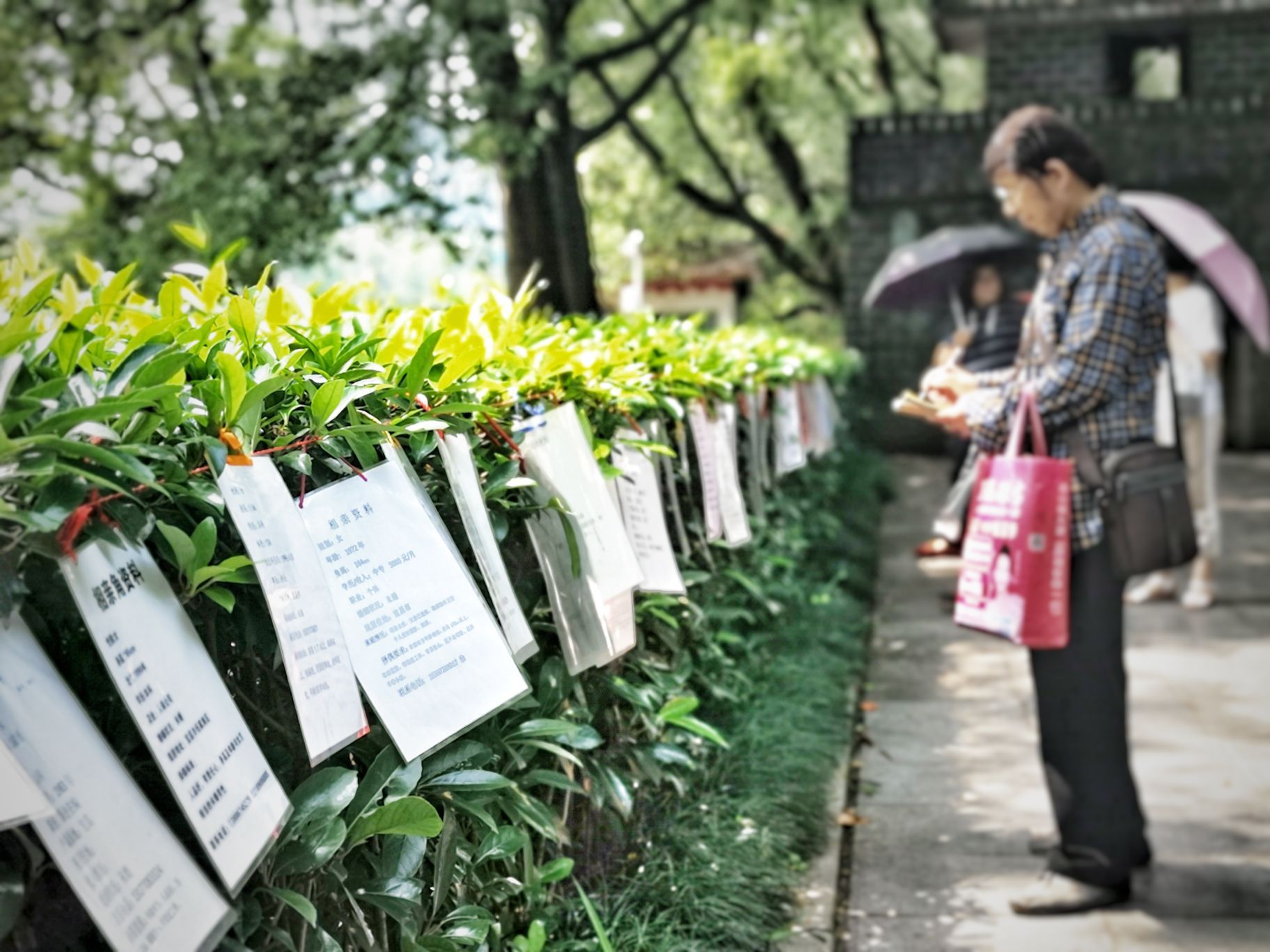 宜昌儿童公园动物园