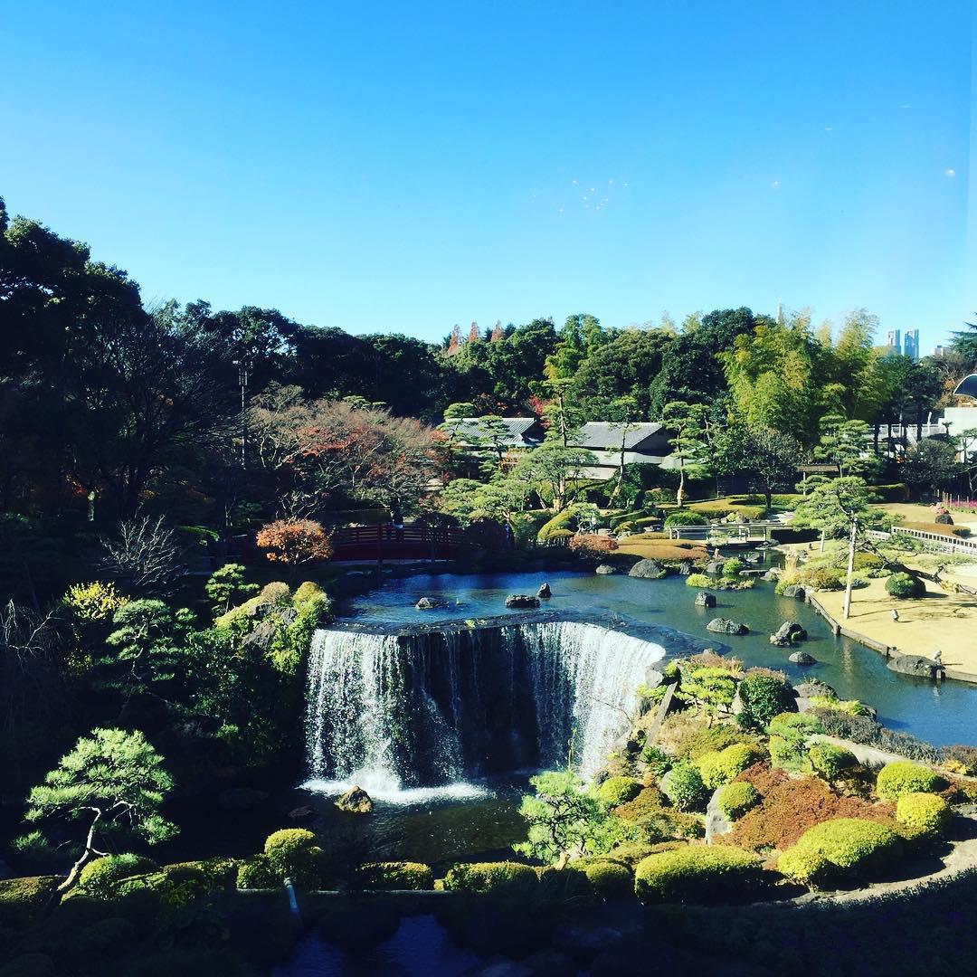 这个日本的花园酒店真的特别独特  这个花园酒店，他对特别的就是他有一个很大的庭院，这个庭院，她已经有