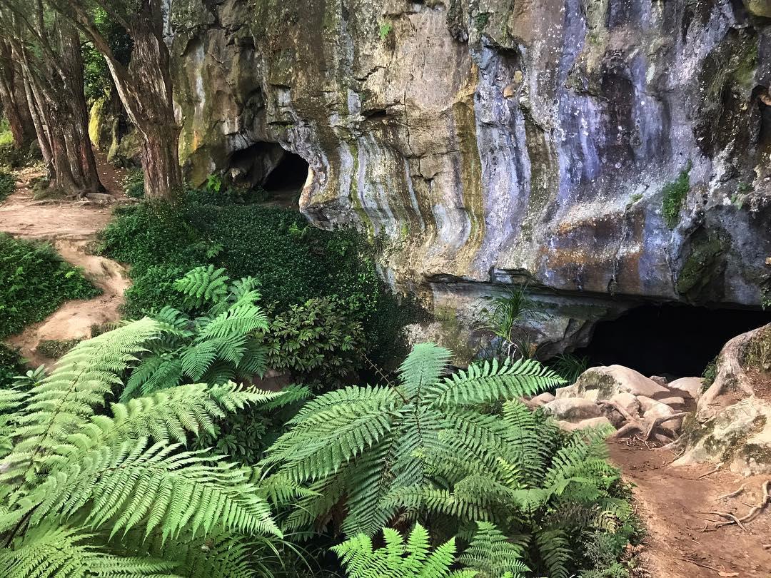 在洞里的银河之境😮   〔Waipu Cave〕是很吸引人的一个地方，它是一个洞穴，有意思的是这个洞