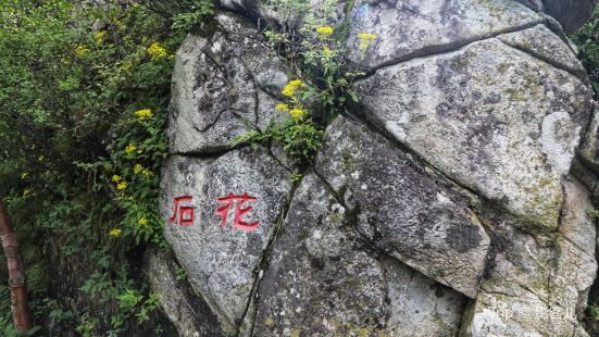 Zhashui Zhongnan Mountain Qin and Chu Ancient Road
