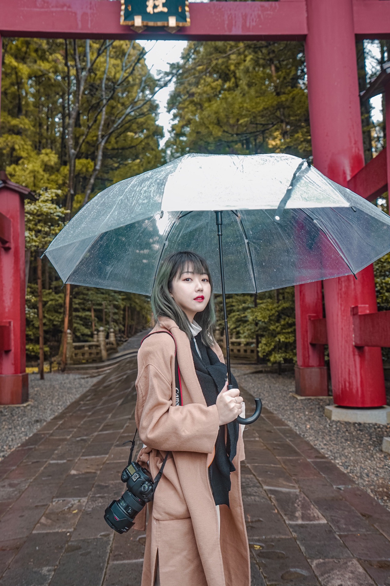 新泻县最大的神社⛩️弥彦神社  没想到还有机会打你新泻最大的神社，也被叫做越后第一神社拜访， 距离今