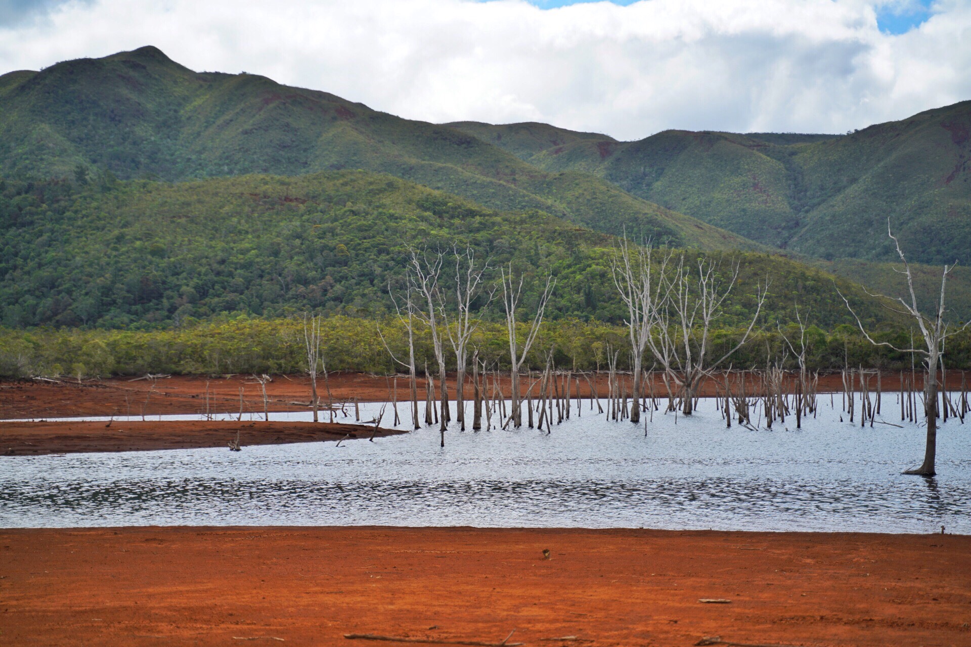 新喀里多尼亚的蓝河国家公园，位于新喀主岛的东北方向，一片红土地，湖中枯死的树林已有几十年的时间。来这