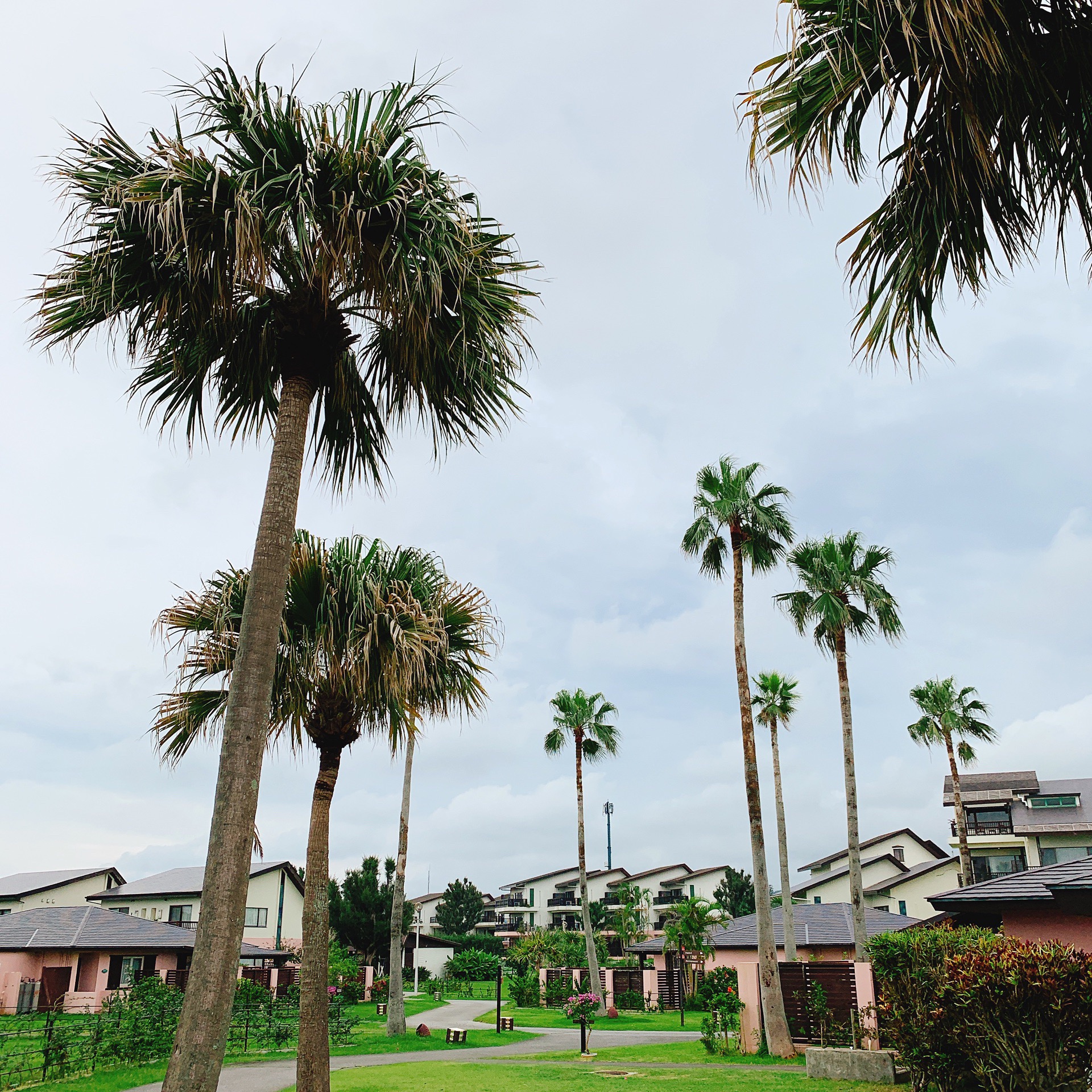 冲绳美丽的度假村酒店！推荐！