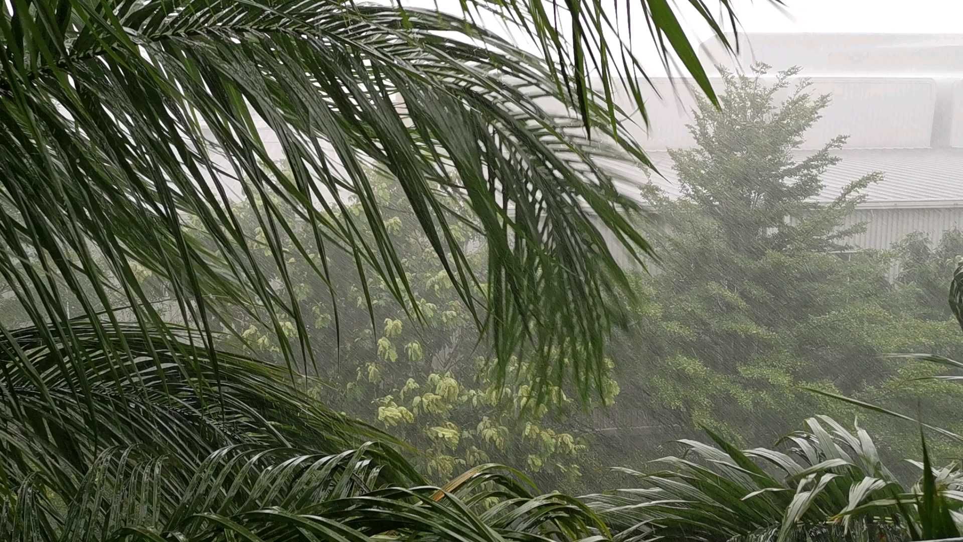 风大雨大，雨季开启！