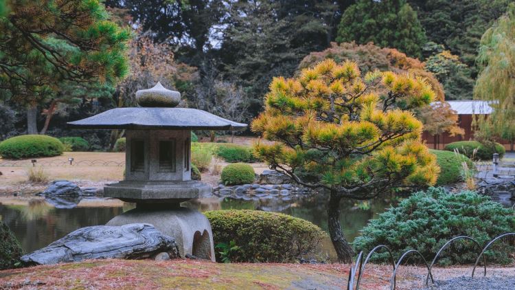 Shinjuku Gyoen National Garden