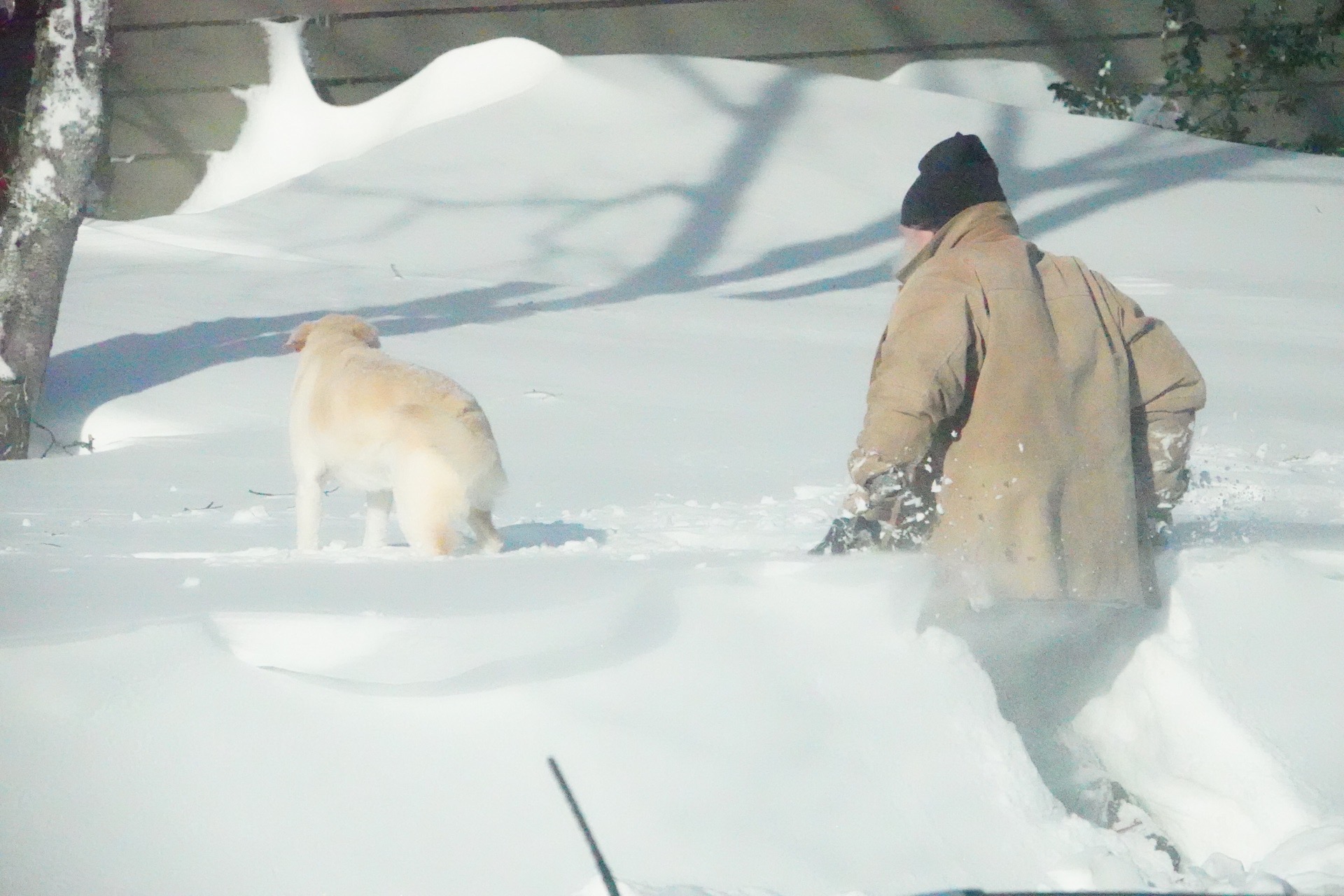 #好大的雪# 大雪过后，一片雪白的世界；街上人很少，温度依然在零下。忽然看到一位老爷爷牵着狗狗，从家
