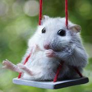 大概是还没想好