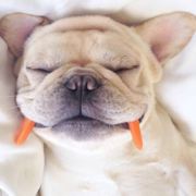 德撞星努力不挂科