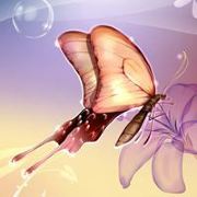 杨杨杨杨杨杨杨七七