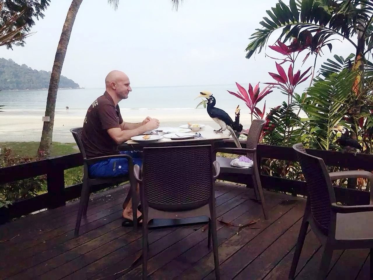 度假起床吃早餐，隔壁桌的鸟与人的爱，让我感觉到动物与人的和平相处，这可是一个私人岛屿