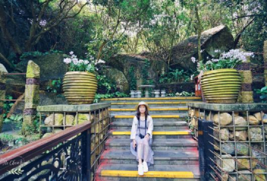 【私家小包团含门票】热带天堂森林公园+亚龙湾沙滩+太阳湾公路【自主掌控游玩节奏，无约束无催促，自由自在畅玩】