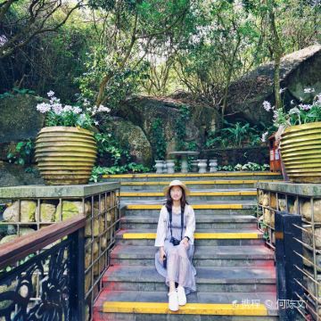 【私家小包团含门票】热带天堂森林公园+亚龙湾沙滩+太阳湾公路