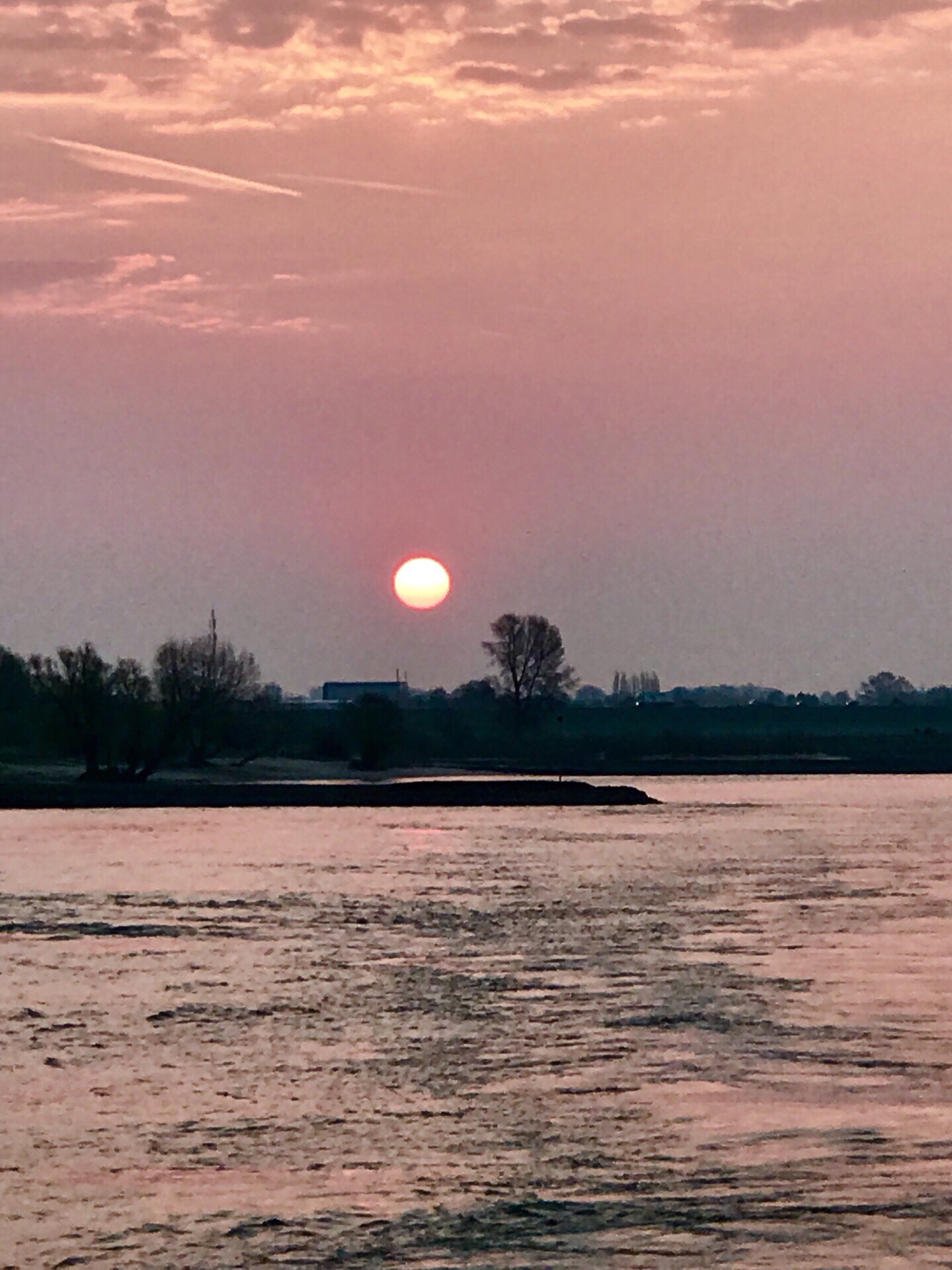 【莱茵河日出🌅】 在游船上观看莱茵河日出，随着游轮的行进，旭日从树梢上移至大桥下、大桥上，朝霞染红了