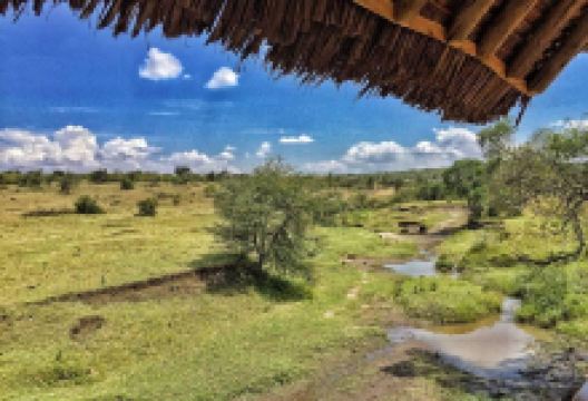 Naboisho私人保护区景点图片