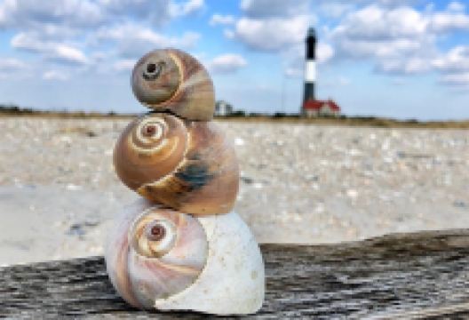 Fire Island Lighthouse景点图片