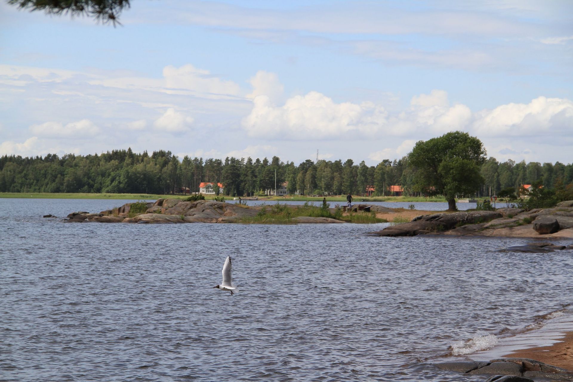 维纳恩湖，北欧最大的淡水湖。虽是七月但湖水还是冰冷，但北欧人就已下湖游泳。北欧人喜欢户外运动，湖中有