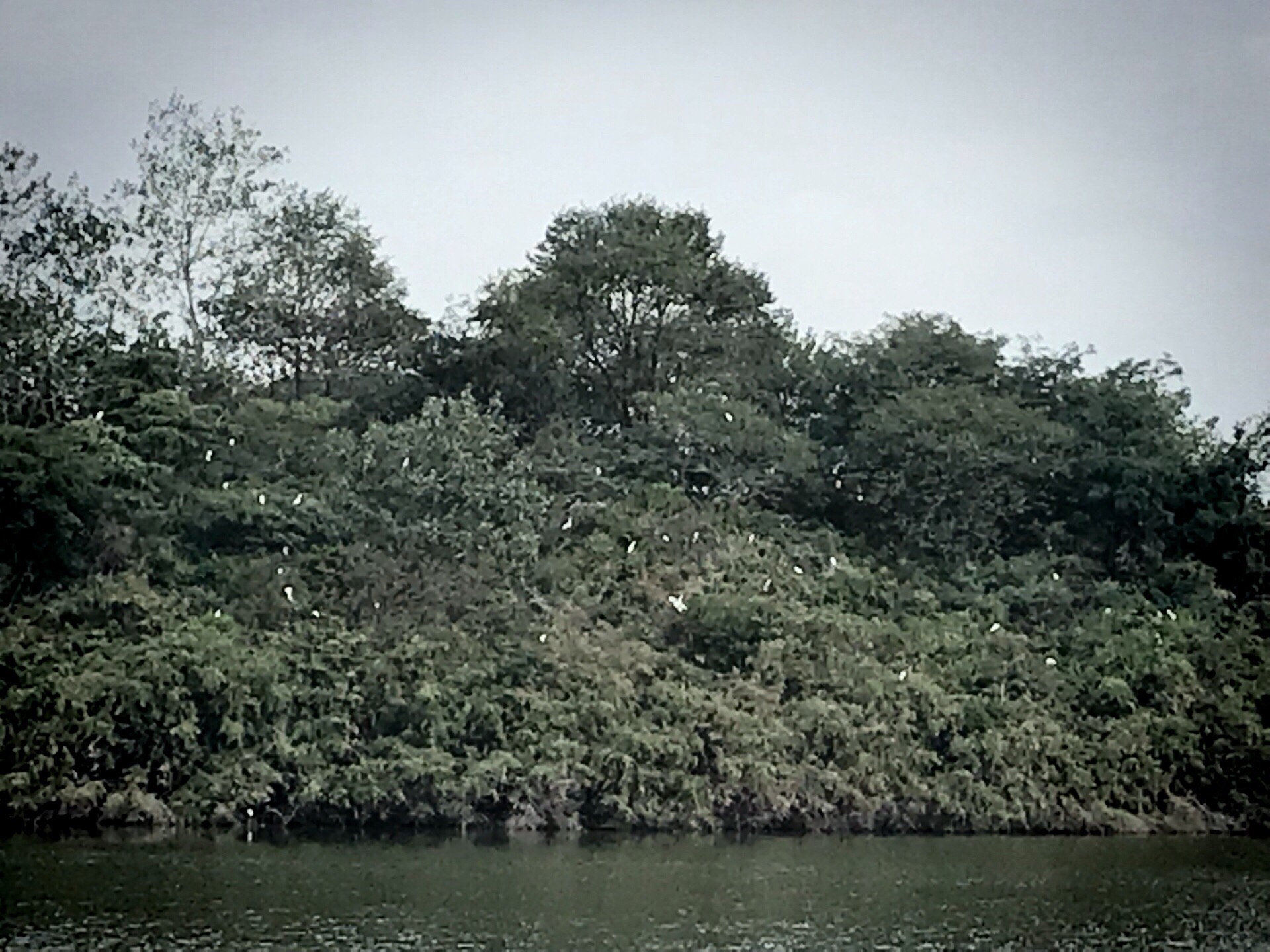 东湖公园