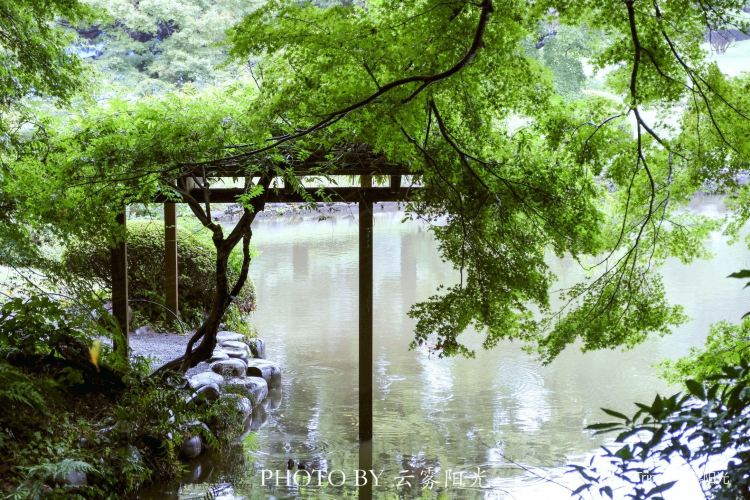 Shinjuku Gyoen National Garden