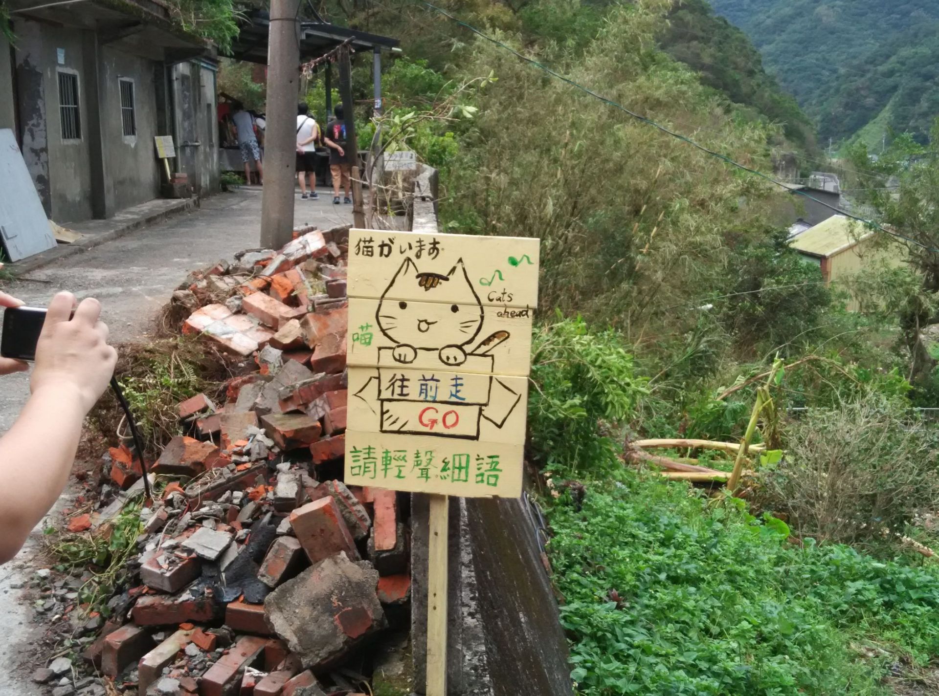 台湾猴硐猫村，一进村遍地是萌猫，猫儿们因长期与观光游客的接触，大多都不怕生，有些猫还会以主人身份与人