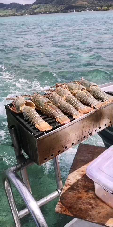 毛里求斯蓝湾途中 船上BBQ 美景美食 👍