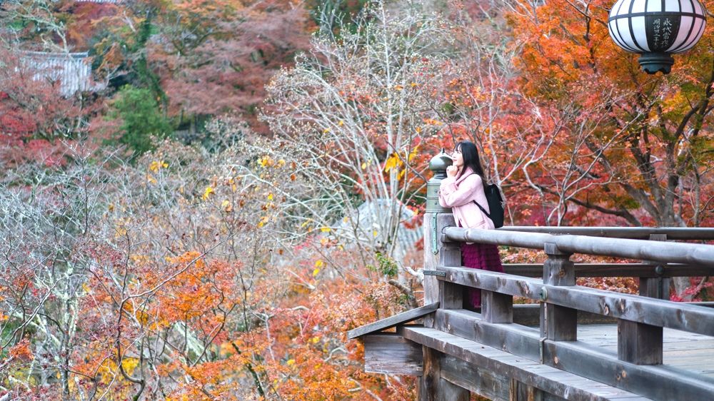 长谷寺，一年四季鲜花盛开，又被称为花之御寺。在日本不止一座，最出名的是仓镰的长谷寺。而发源地就在奈良
