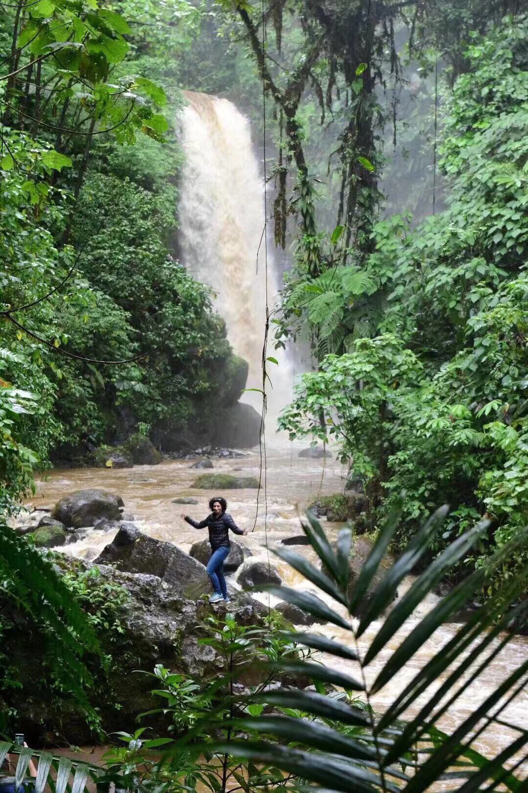【和平瀑布花园】 哥斯达黎加🇨🇷“和平瀑布花园”是一个充满绿色的自然景观，除了可以观赏特别的瀑布外，