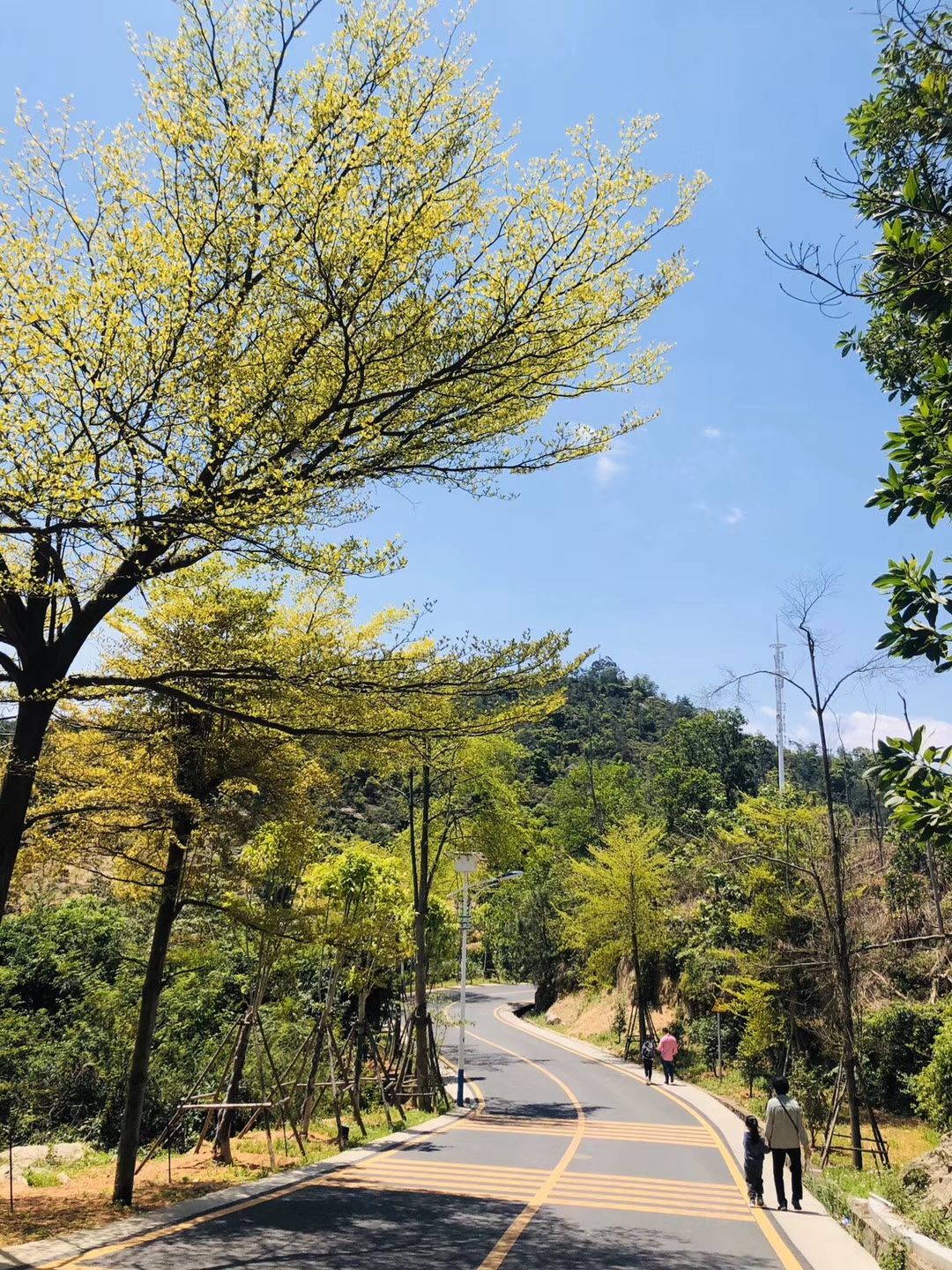 白虎岩风景区