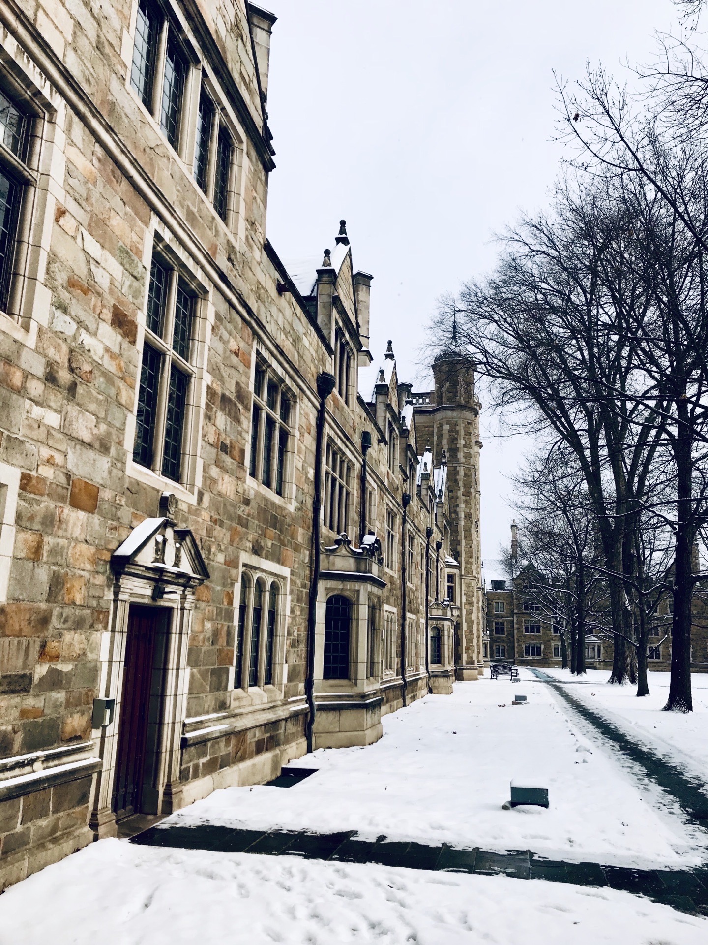 雪景中的密歇根州立大学，校园里很美