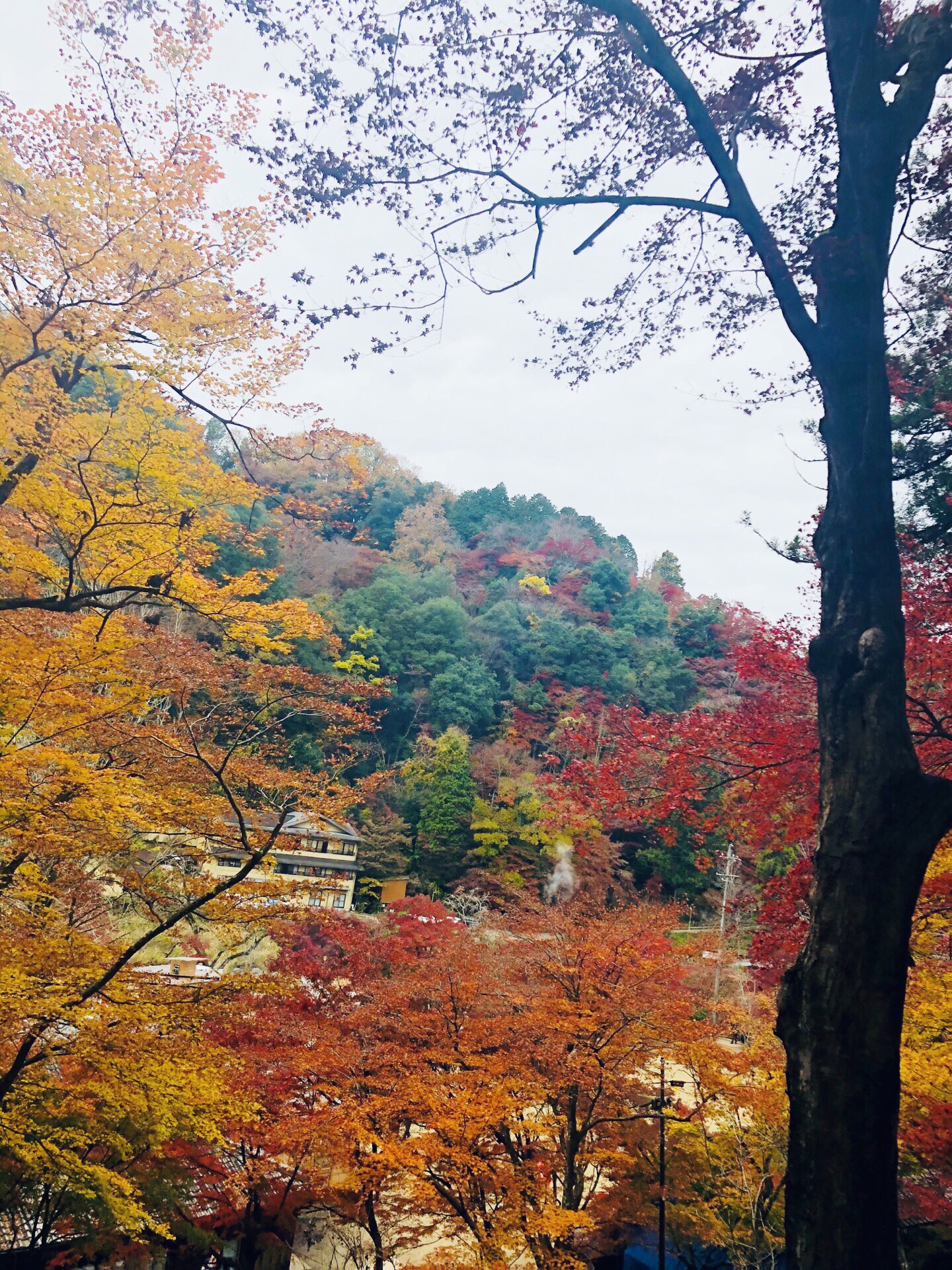 香岚溪是日本东海地区第一红叶胜地，参荣禅师参读一卷《般若心经》后，即亲植一株红叶树于香岚溪畔。其后人