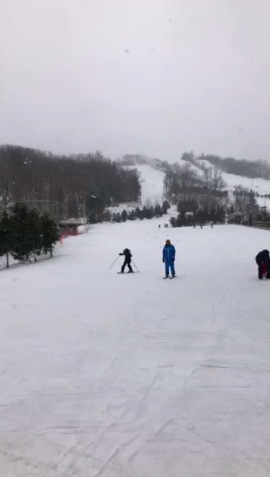 在加拿大蓝山滑雪场第一次滑雪，终于学会了。😃