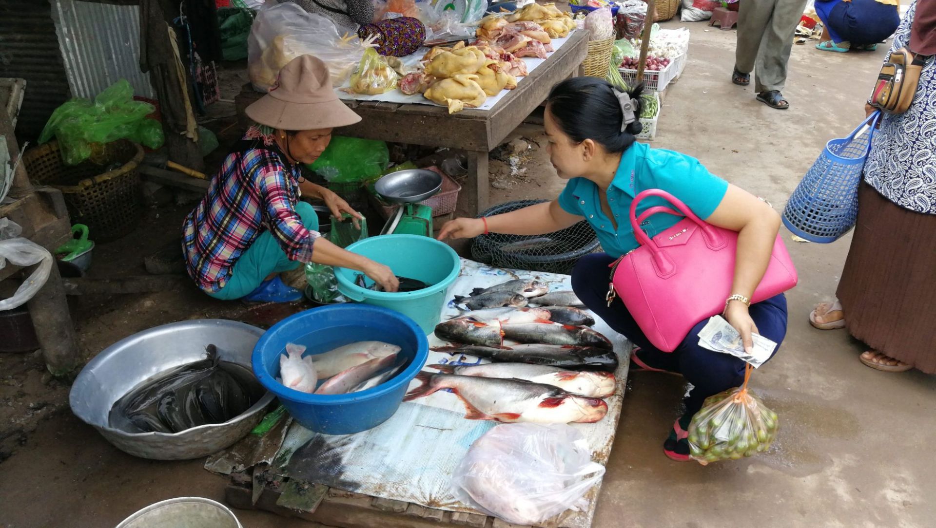 柬埔寨  貢布市  菜市場