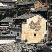 爱旅游的溜溜球