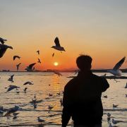 佳锐的旅行日记