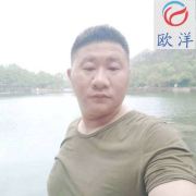 欧洋自动化