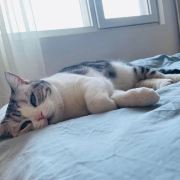 Blueberry爱旅行✈️