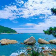 品味美食小白鸽