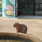 沐沐的旅游日记🍓🍓