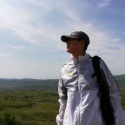 集集小镇粉红猪