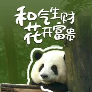 大熊猫panda❤️