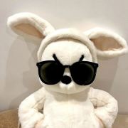 爱旅行的绒毛兔