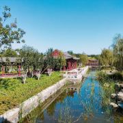 旅行者(玉米奶奶)