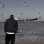 偷读人间的俗子