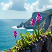 武汉东湖开发区花山家园荷园小区