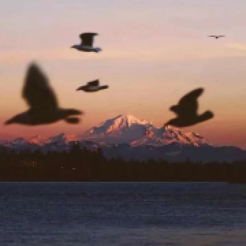 想看世界的旅行者