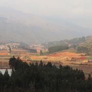 无敌酷炸毛的喵酱