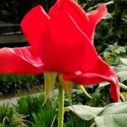 勇往直前银基七楼C7108