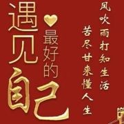 旅游要放飞自我