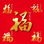 幸运的猪2009