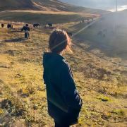 风与自由代理人