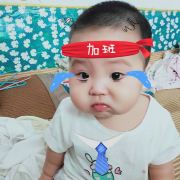 罗扬x